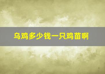 乌鸡多少钱一只鸡苗啊