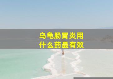 乌龟肠胃炎用什么药最有效