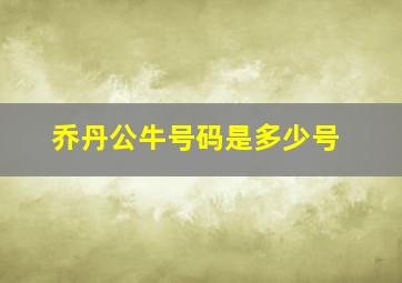 乔丹公牛号码是多少号