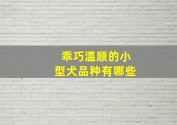 乖巧温顺的小型犬品种有哪些