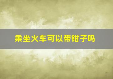 乘坐火车可以带钳子吗