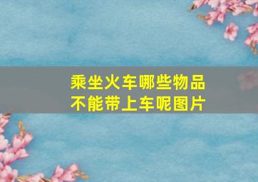 乘坐火车哪些物品不能带上车呢图片