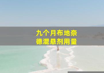 九个月布地奈德混悬剂用量