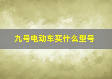 九号电动车买什么型号