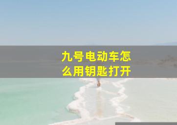 九号电动车怎么用钥匙打开