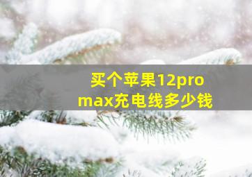 买个苹果12promax充电线多少钱