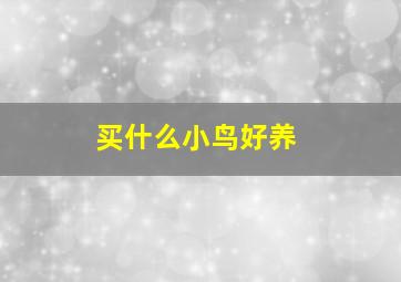 买什么小鸟好养