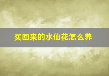 买回来的水仙花怎么养