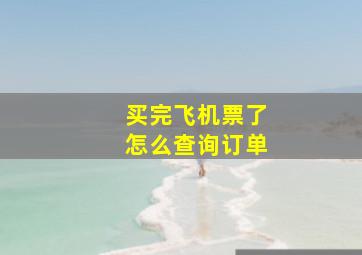 买完飞机票了怎么查询订单