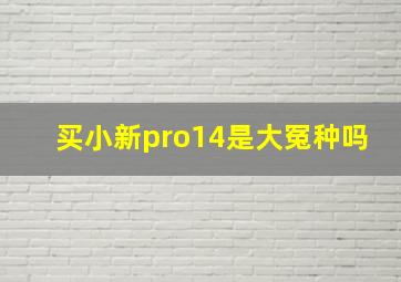 买小新pro14是大冤种吗