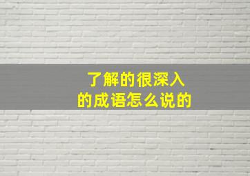 了解的很深入的成语怎么说的