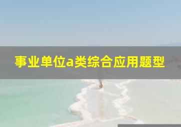 事业单位a类综合应用题型