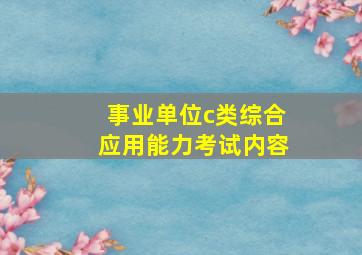 事业单位c类综合应用能力考试内容