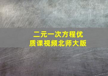 二元一次方程优质课视频北师大版