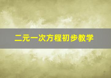 二元一次方程初步教学