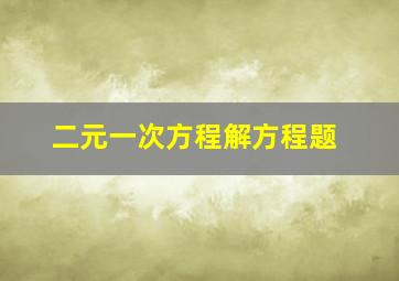 二元一次方程解方程题