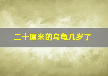 二十厘米的乌龟几岁了