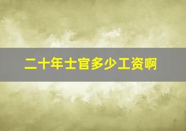 二十年士官多少工资啊