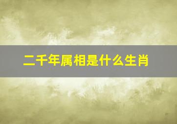 二千年属相是什么生肖