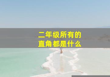 二年级所有的直角都是什么