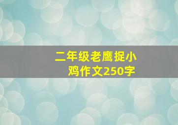 二年级老鹰捉小鸡作文250字