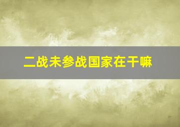 二战未参战国家在干嘛