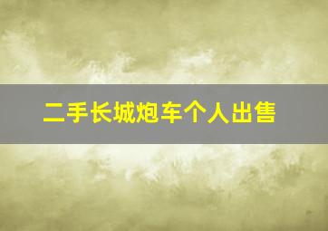 二手长城炮车个人出售