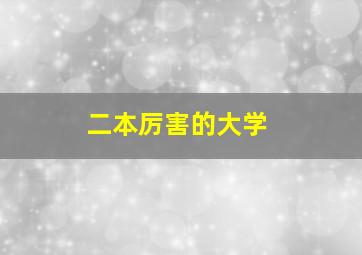 二本厉害的大学