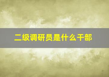 二级调研员是什么干部