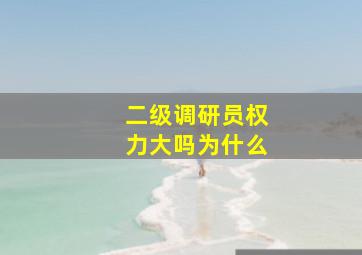 二级调研员权力大吗为什么