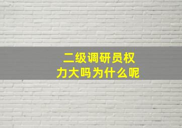 二级调研员权力大吗为什么呢