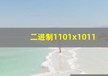 二进制1101x1011