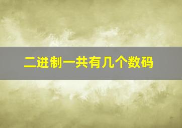 二进制一共有几个数码