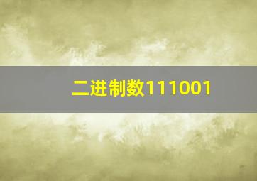 二进制数111001