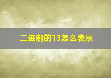 二进制的13怎么表示