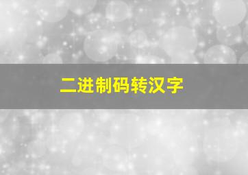 二进制码转汉字