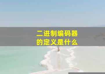 二进制编码器的定义是什么