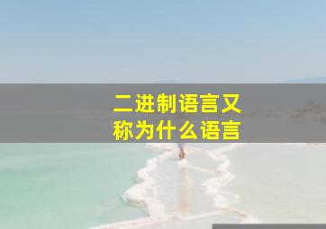 二进制语言又称为什么语言