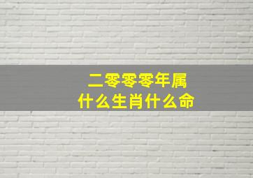 二零零零年属什么生肖什么命