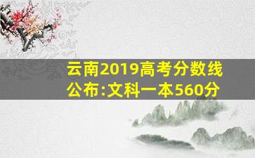 云南2019高考分数线公布:文科一本560分