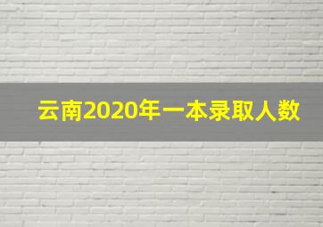 云南2020年一本录取人数