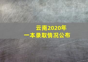 云南2020年一本录取情况公布