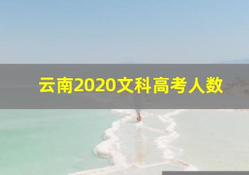 云南2020文科高考人数