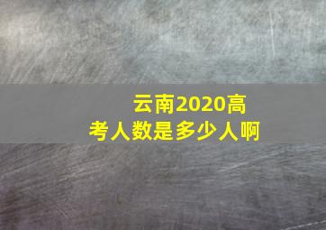 云南2020高考人数是多少人啊