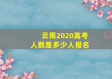 云南2020高考人数是多少人报名