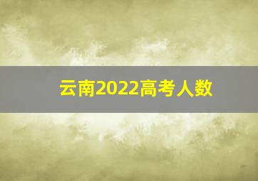 云南2022高考人数