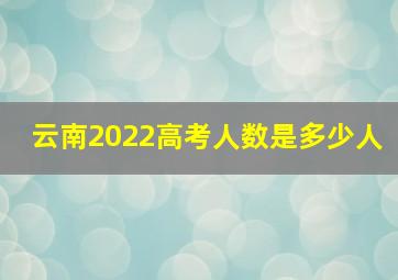 云南2022高考人数是多少人