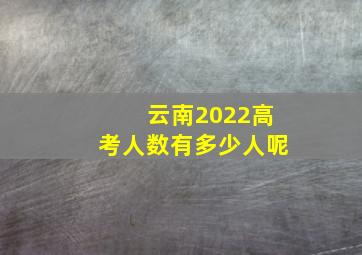 云南2022高考人数有多少人呢