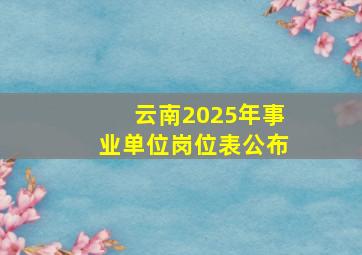 云南2025年事业单位岗位表公布