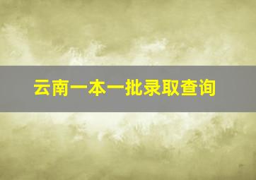 云南一本一批录取查询